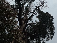 -青岛崂山太清宫
