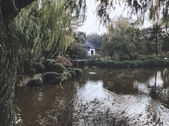 -秋霞圃