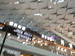 -郑州新郑国际机场-T2航站楼