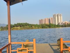 -飞来湖湿地公园