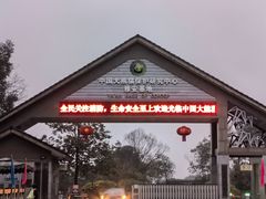 -中国大熊猫保护研究中心雅安碧峰峡基地