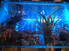 -金悦轩海鲜酒家(银河店)