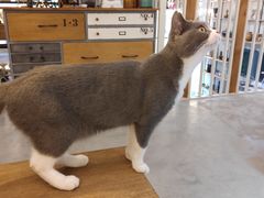 -花十悦·鲜花咖啡餐厅(振业城一期店)
