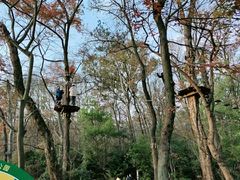 -WeLope紫金山探险公园