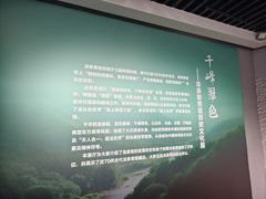 -龙泉青瓷博物馆