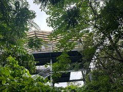 -佛山华盖山公园