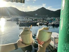 -南丫岛