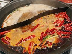 -朱光玉火锅馆(正弘城店)