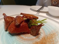 玻璃脆皮妙龄乳鸽-潮上潮(南中环店)