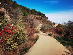 -北京西山国家森林公园