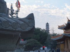-江心屿景区