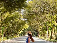 -东南花都花博园