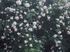 -无锡金色摇篮幼儿园(宝龙城市广场店)