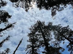 -瓦屋山景区