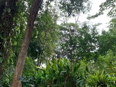-中国科学院西双版纳热带植物园
