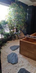-缦spa