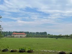 -池杉湖湿地公园