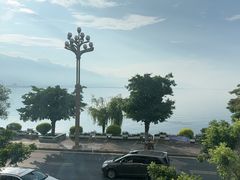 -野菌皇海景野生菌火锅(滨海大道店)