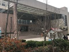 -青岛市图书馆