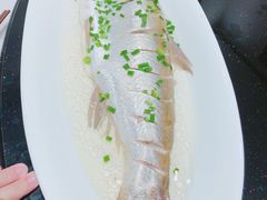 清蒸白鱼-苏浙徽·江南荟·本味融合菜(相城方圆里店)