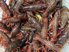 -同銮特种养殖场·龙虾垂钓