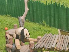 -沈阳森林动物园