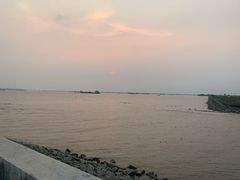 -大湾区中央湿地公园