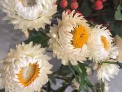 -花邻FloweringLife花艺气球派对(武康大楼店)