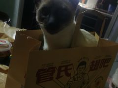 -管氏翅吧(国展店)