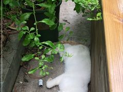 -彳亍咖啡·这里(水湾路店)