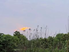 -广富林郊野公园