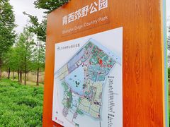 -上海新江南大酒店-中餐厅