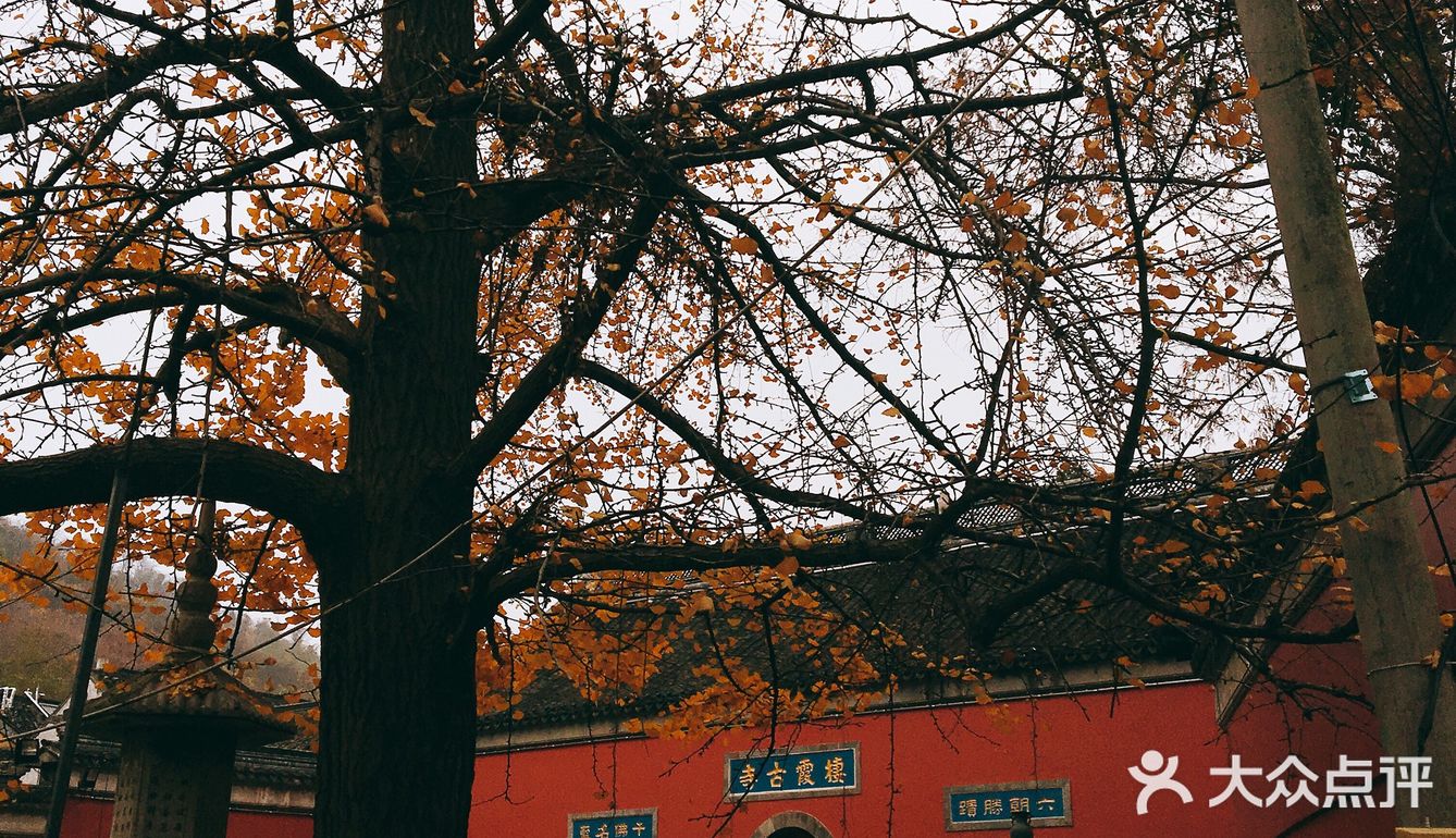 秋日南京不可错过的风景|栖霞山名胜风景区打卡攻略