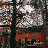 秋日南京不可错过的风景|栖霞山名胜风景区打卡攻略