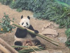 -大连森林动物园