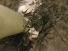 -溧阳天目湖天沐温泉