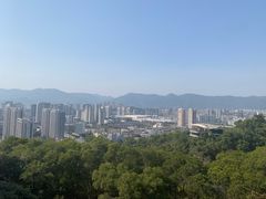 -金鸡山公园
