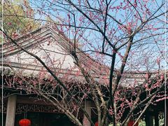 -天一阁博物院
