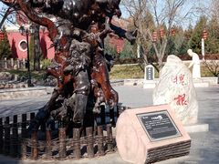 -大槐树寻根祭祖园