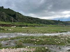 -芦芽山旅游度假区