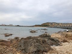 -仙人岛