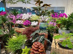 -双季花艺园艺市场(浦东店)