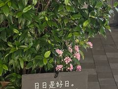 -比斯特上海购物村精品奥特莱斯