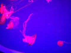 -多彩贵州城极地海洋世界