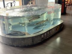 -燃燃小黄鱼(隆昌店)