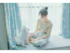 -读宠于你·约克夏比熊·睫角守宫·爬宠售卖(高新店)