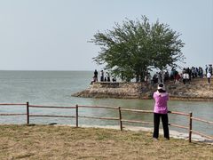 -洪泽湖古堰景区