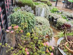 -山菌美食苑(振兴路店)