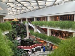 -白天鹅宾馆-宏图府餐厅