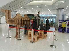 -沈阳HAI乐园